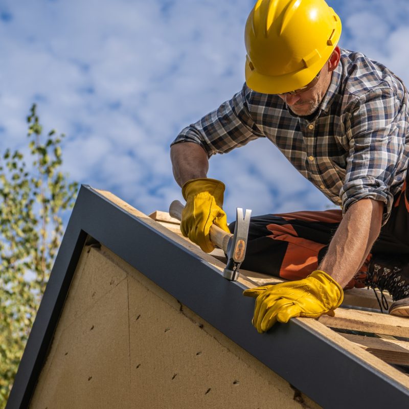 Caucasian Professional Roof Contractor