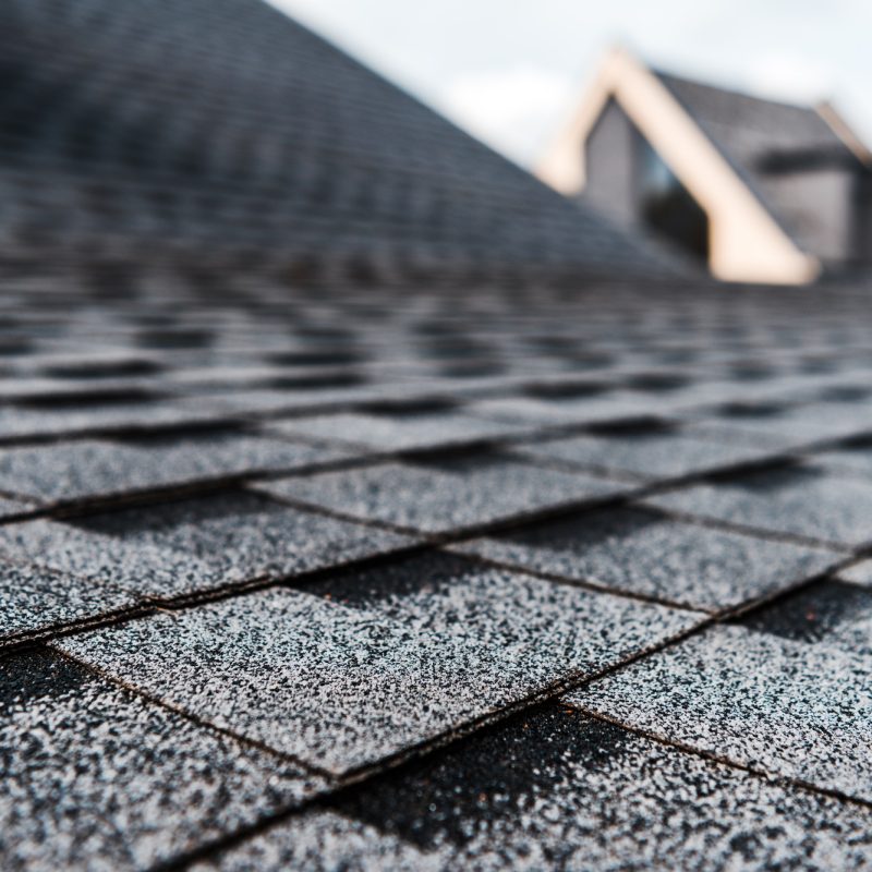 selective focus of grey shingles on rooftop of building selective focus of grey shingles on rooftop of building